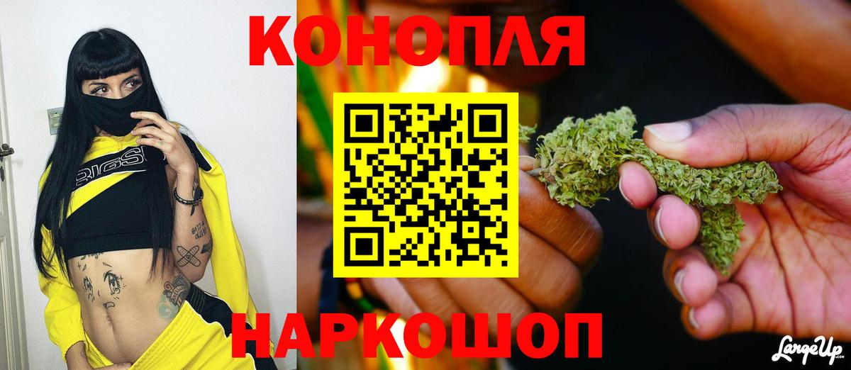 Шишки марихуана Amnesia Благовещенск
